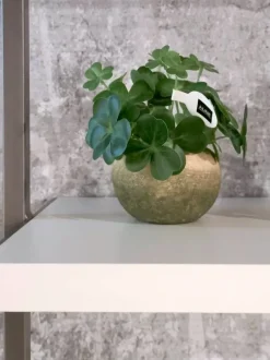 Libreria modello Movida di Tomasella in Offerta Outlet