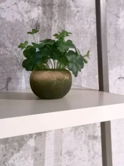 Libreria modello Movida di Tomasella in Offerta Outlet