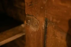 Madia Madia in noce massello antico in stile classico di Artigianale in Offerta Outlet