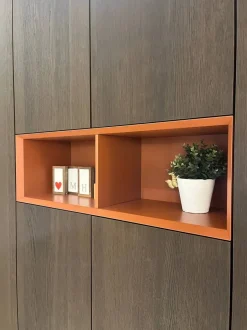 Mobile ingresso modello Armadio ingresso plana di Pianca in OFFERTA OUTLET