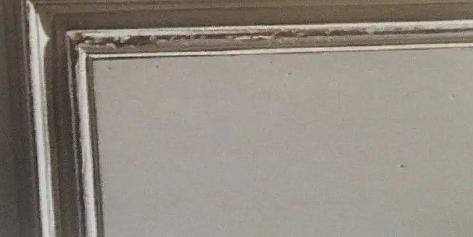 Parete attrezzata Comp d milano-roma della marca Mobilificio bellutti con uno sconto esclusivo