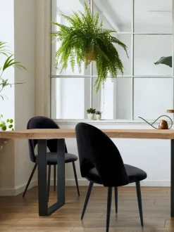 Sedia in tessuto poltroncina Sedia imbottita in velluto modello nail in Offerta Outlet