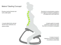 Sedia per ufficio Variable di Variér SCONTATA 25%